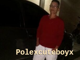 Polexcuteboyx