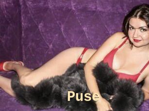 Puse
