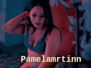 Pamelamrtinn