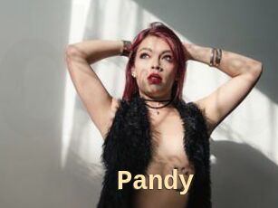 Pandy