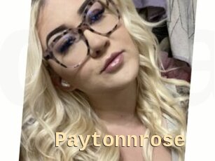 Paytonnrose