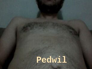 Pedwil
