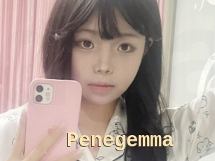 Penegemma