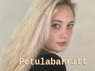 Petulabarritt