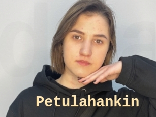 Petulahankin