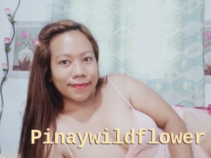 Pinaywildflower