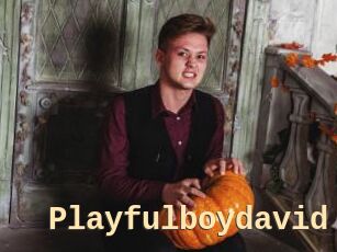 Playfulboydavid