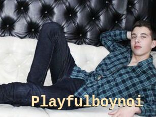 Playfulboynoi