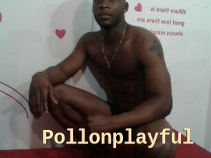 Pollonplayful