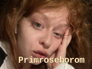 Primroseborom