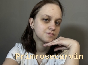 Primrosecarvin