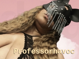Professorhavoc