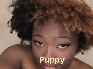 Puppy
