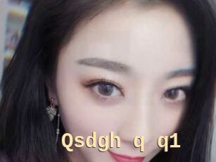 Qsdgh_q_q1