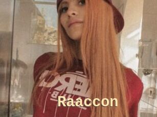 Raaccon