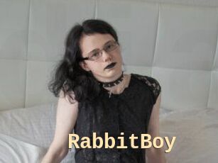 RabbitBoy
