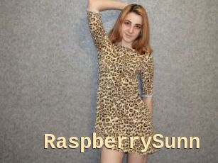 RaspberrySunn