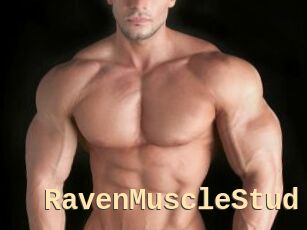 RavenMuscleStud