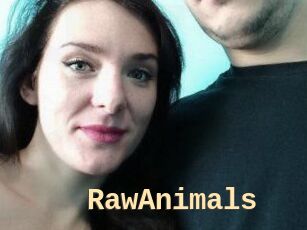 RawAnimals