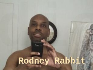 Rodney_Rabbit