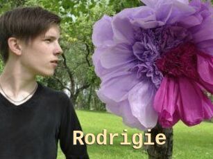 Rodrigie