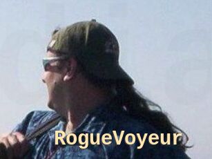 RogueVoyeur