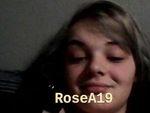 RoseA19