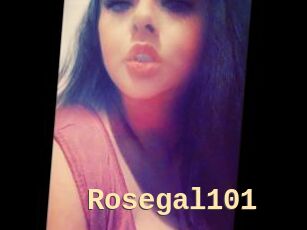 Rosegal101