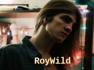 RoyWild