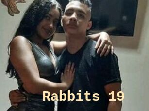Rabbits_19