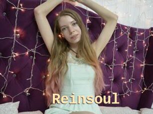 Reinsoul