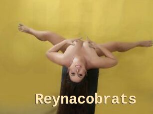 Reynacobrats