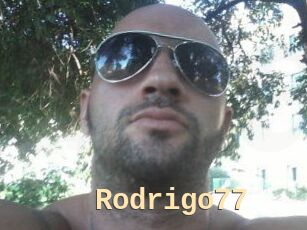Rodrigo77