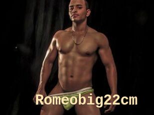 Romeobig22cm