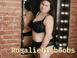 Rosaliebigboobs