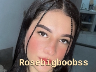 Rosebigboobss