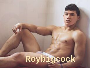 Roybigcock