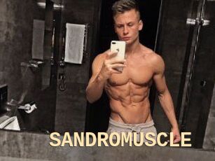 SANDRO_MUSCLE