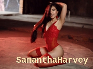 SamanthaHarvey Dialogue Sexe