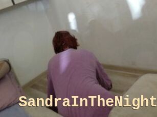 SandraInTheNight
