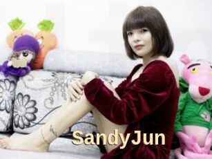 SandyJun