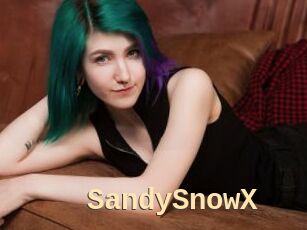 SandySnowX