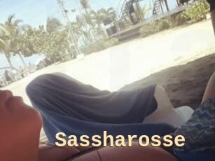 Sassharosse