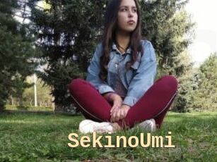 SekinoUmi