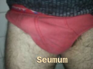 Seumum