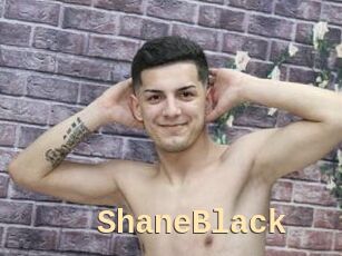 ShaneBlack