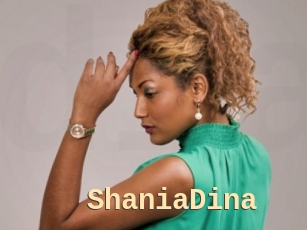 ShaniaDina Dialogue Sexe
