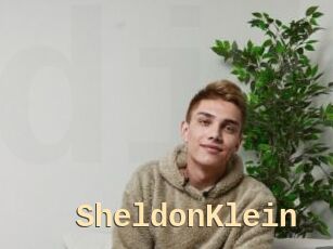 SheldonKlein