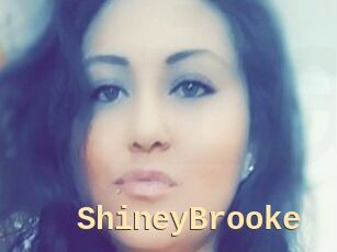 ShineyBrooke Dialogue Sexe