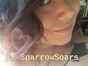SparrowSoars